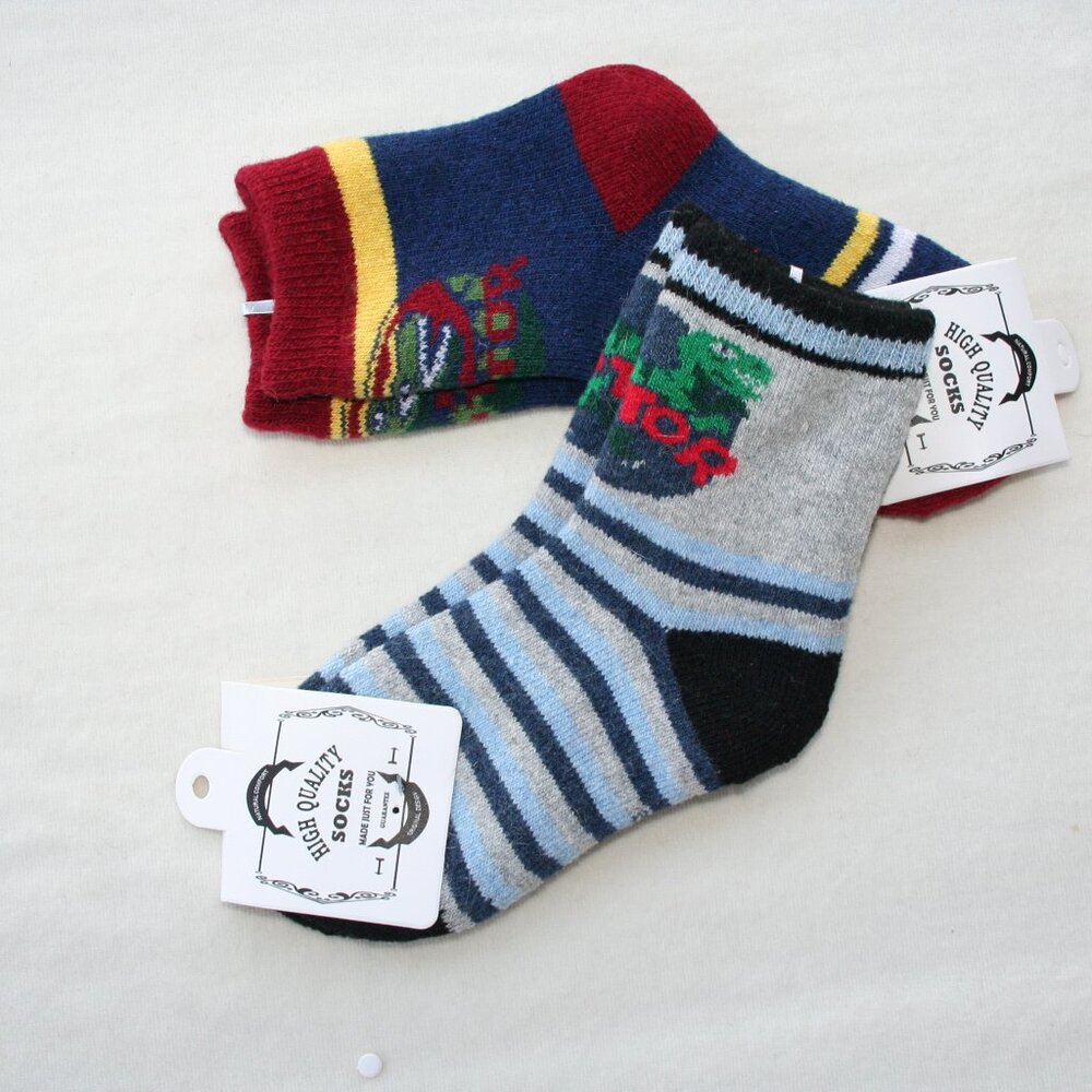 SOCK LOT ⭐ DINO SOCKS 2 PAIRS KID BOY 3-4 YRS WARM WINTER LAYERS sz 9-11 shoe